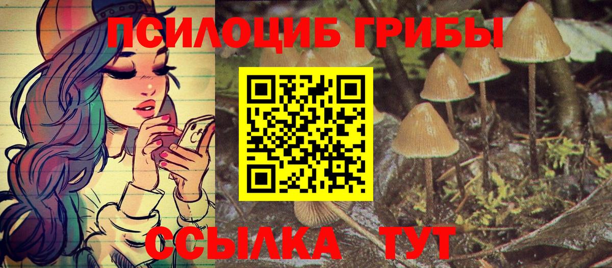 Псилоцибиновые грибы ЛСД  Вход с VPN  Псилоцибиновые грибы Psilocybine cubensis  Мценск 